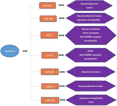 Nmda clearance t cells
